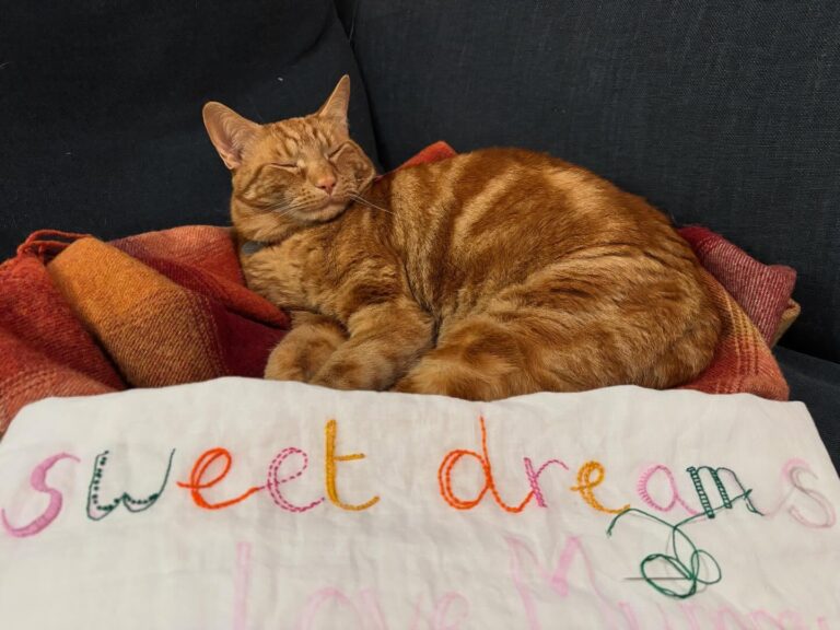 Instagram post from paloma_stitch. This post is in position 6.