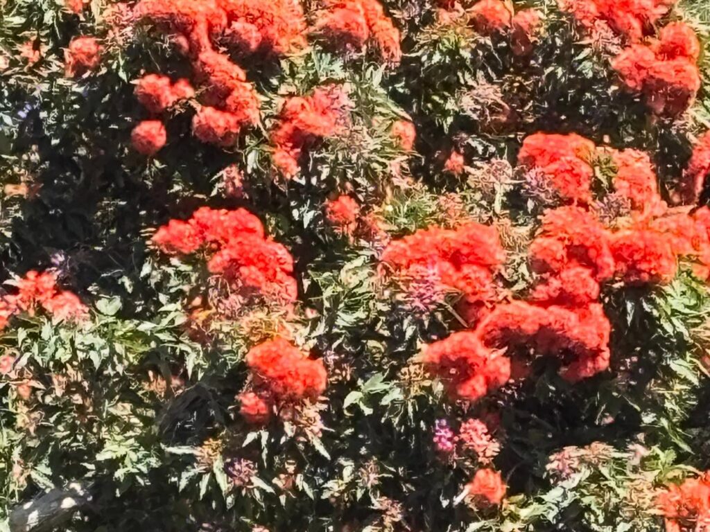 Instagram post from paloma_stitch. This post is in position 3.