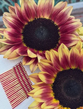 Instagram post from paloma_stitch. This post is in position 13.