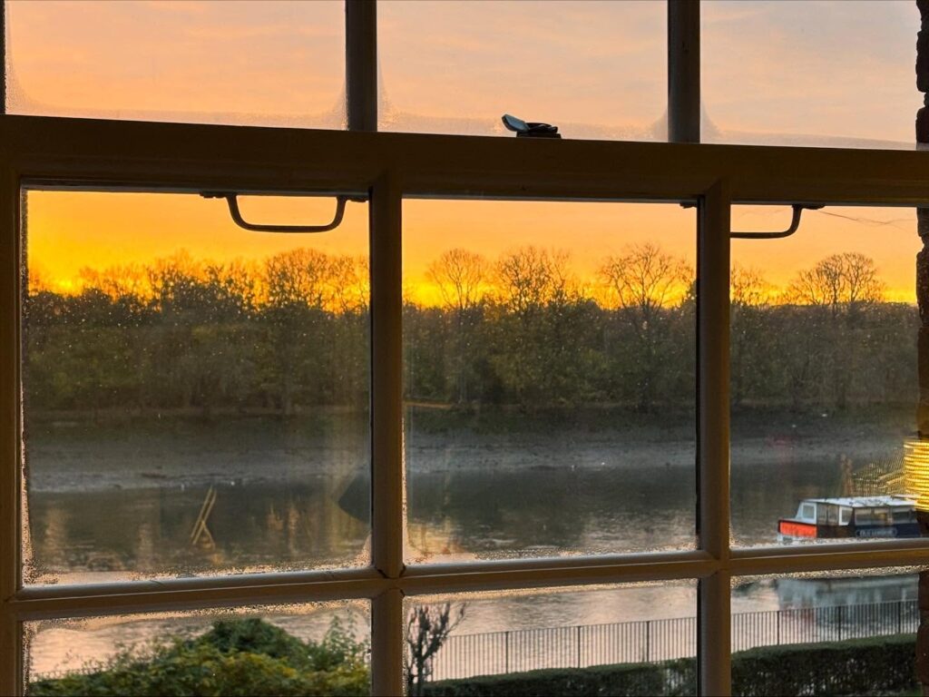 Instagram post from paloma_stitch. This post is in position 3.