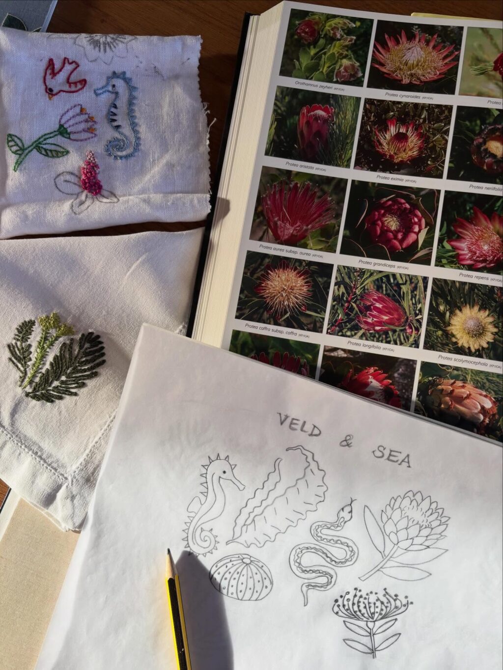 Instagram post from paloma_stitch. This post is in position 2.