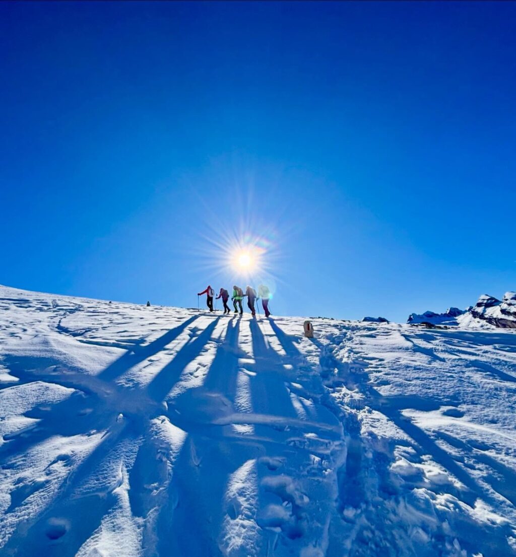 Instagram post from paloma_stitch. This post is in position 2.